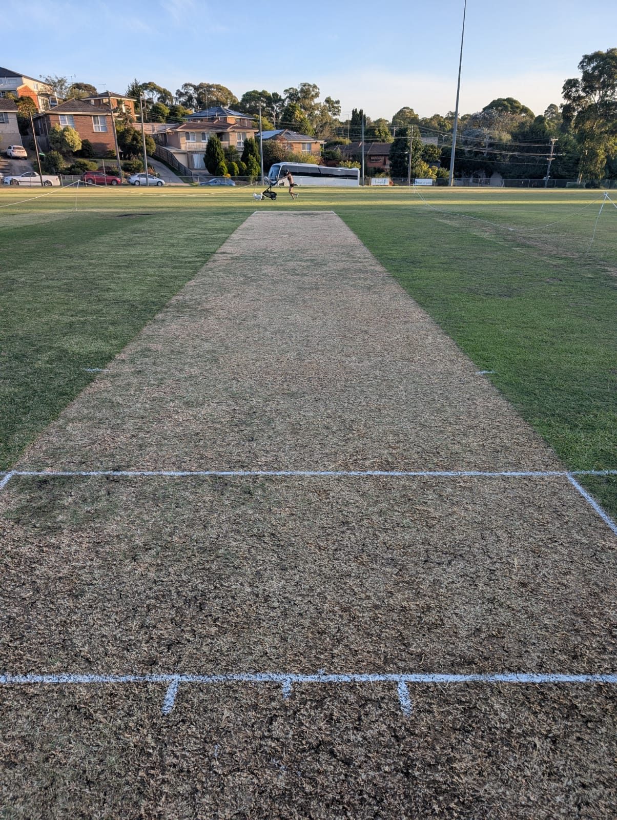 End-of-summer wicket, well used